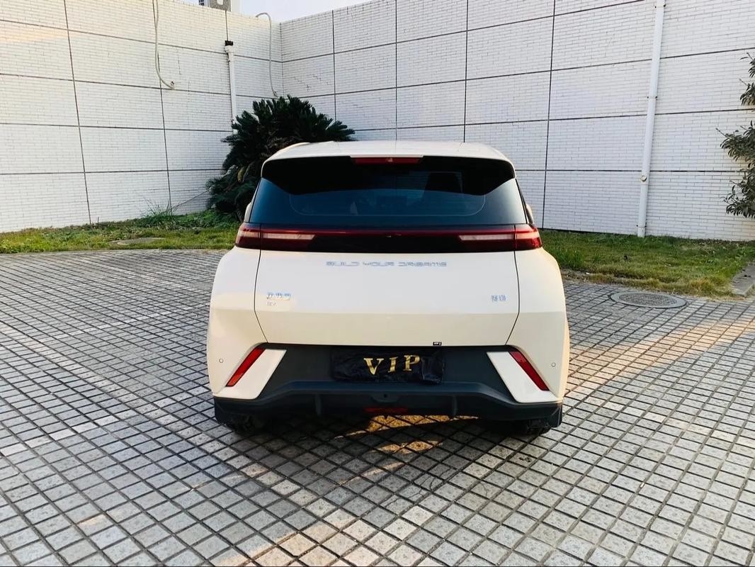 Byd Seagull 2024 Honor Edition 305km نسخه رایگان اتومبیل الکتریکی وسایل نقلیه انرژی جدید